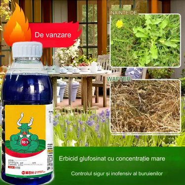 🌿【Kup 2, otrzymaj 1 gratis 】Wysoce skoncentrowany herbicyd glufosynat amonowy-4199704