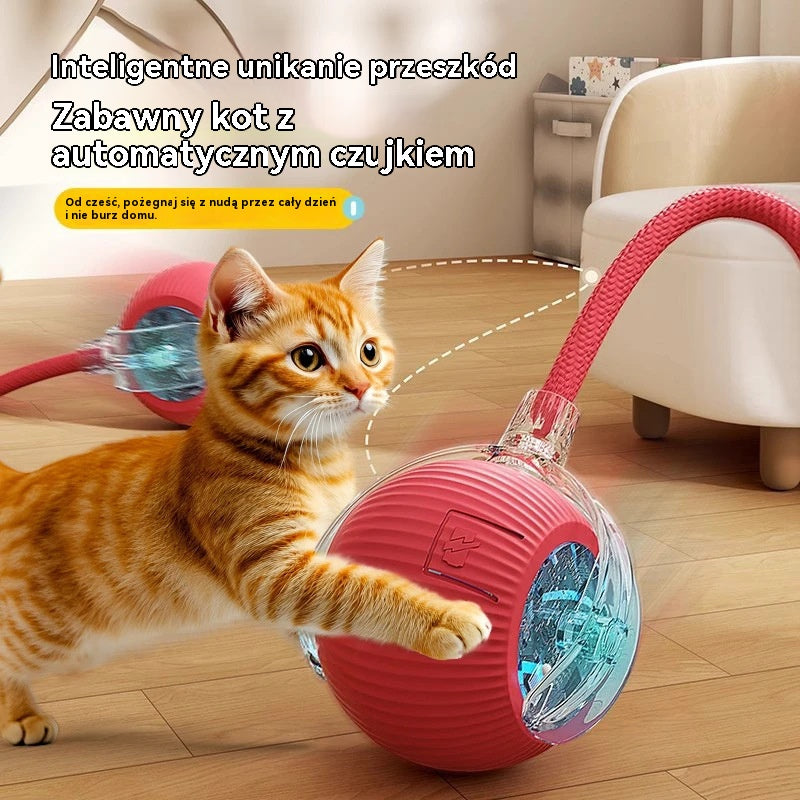 🐱🐕【Kup 1, otrzymaj 1 gratis】Inteligentna elektryczna piłka dla kota grawitacyjnego (wodoodporna)